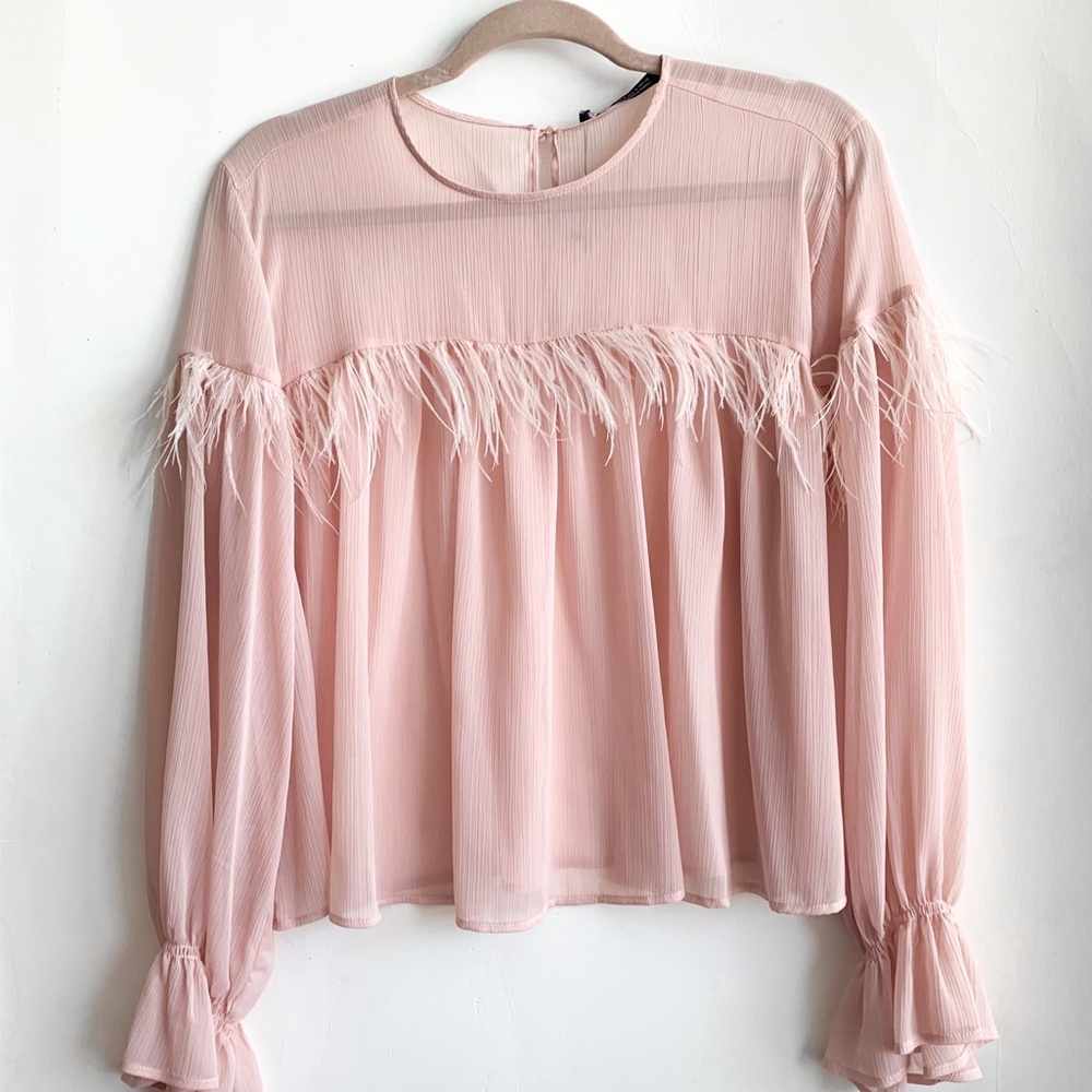 Zara Blush Feathered Blouse